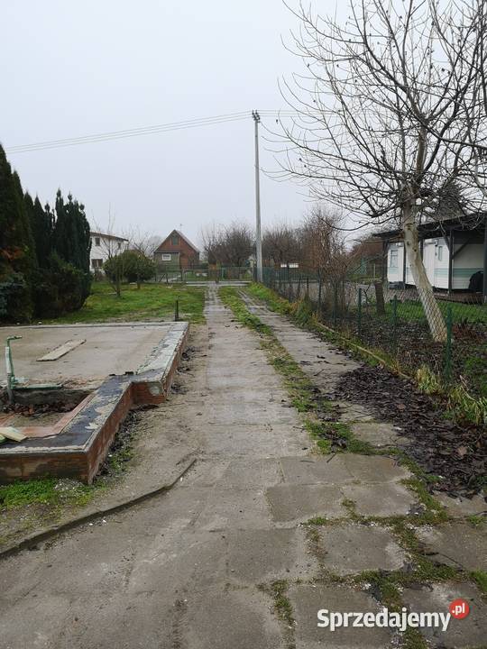 Działka ROD Wisełka 2 Gdańsk sprzedam