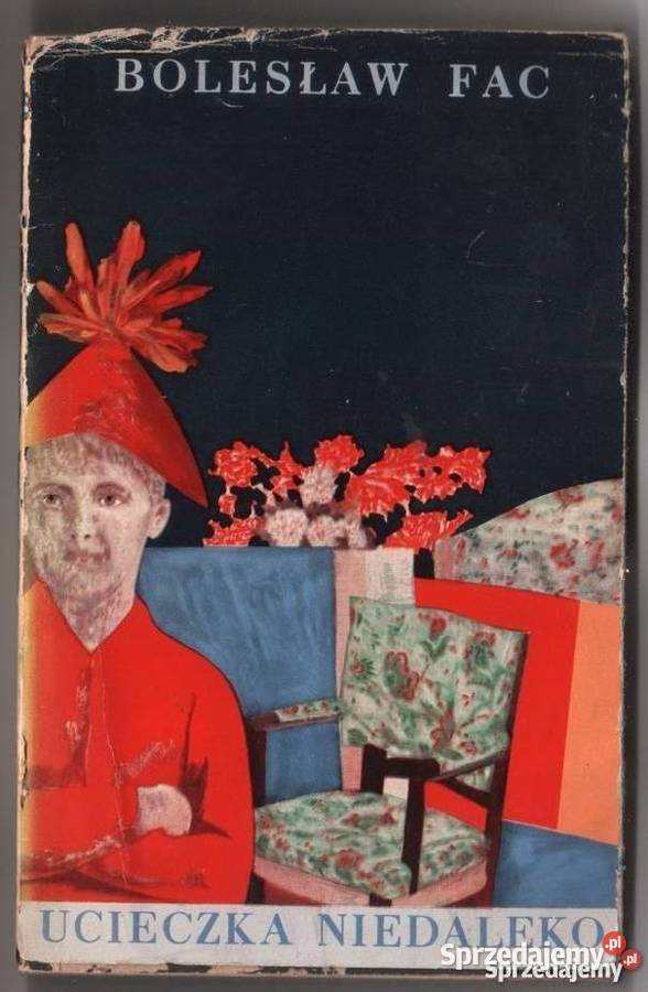 UCIECZKA NIEDALEKO FAC BOLESŁAW Olsztyn