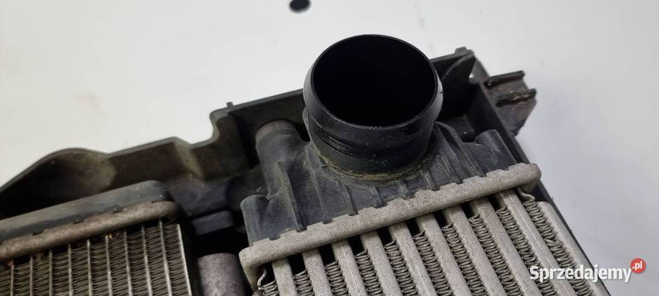 PAS PRZEDNI PEUGEOT 307 Lipno sprzedam