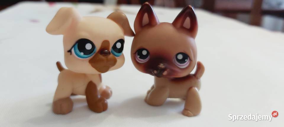 2 pieski Zestaw LPS i Hasbro warmińsko-mazurskie Braniewo