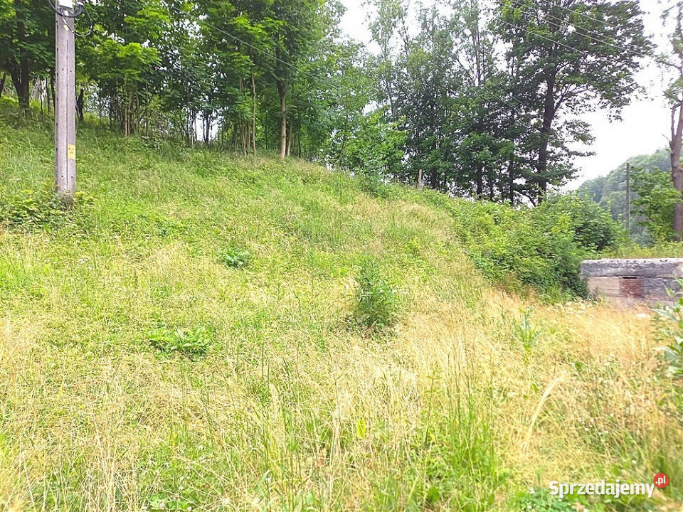 Dom wolnostojący Walim 200m2