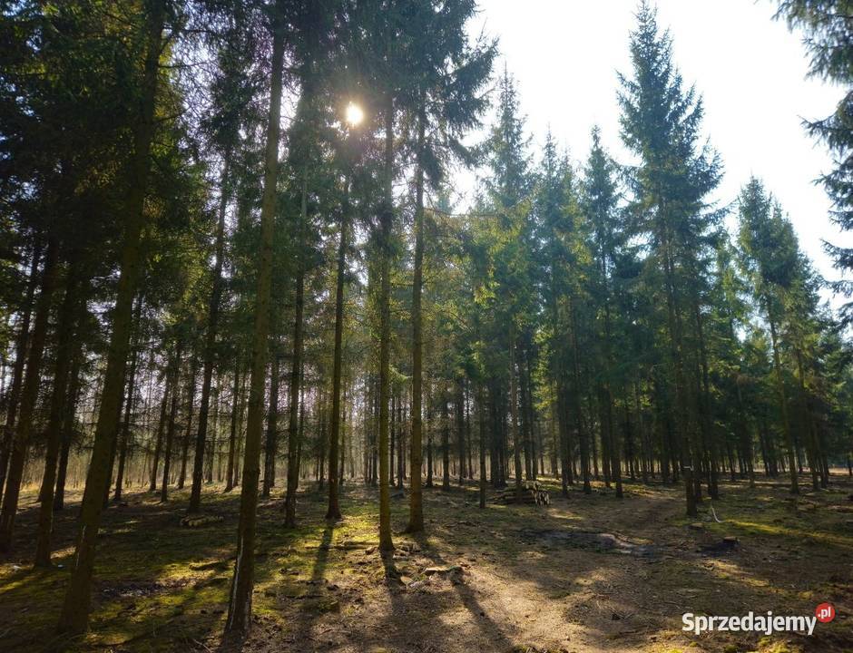 Działka bud 1202M2 WZ STUDNIE mazowieckie