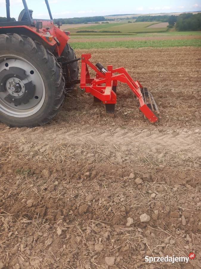 Głębosz 3 łapy Zamość