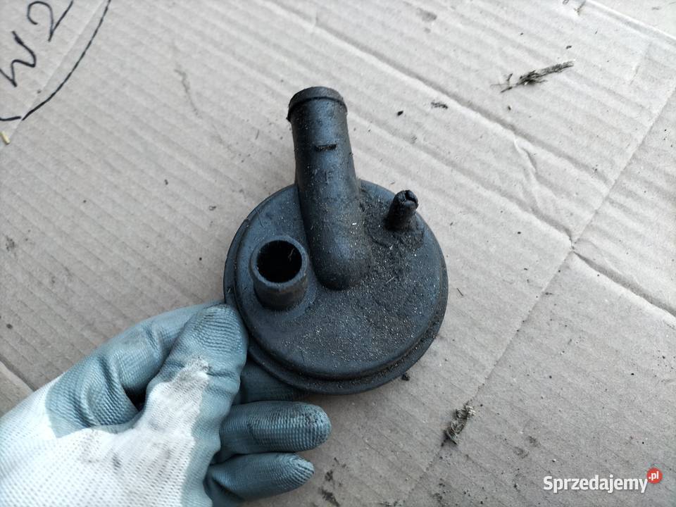 AUDI A38L A3 8L 19TDI ODMA KOREK ODMY Kamień-Kolonia