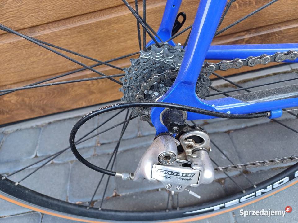 Kolarzówka wyczynówka Sępólno Krajeńskie sprzedam