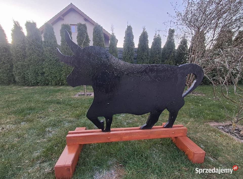 Przeszkody Horse Agility