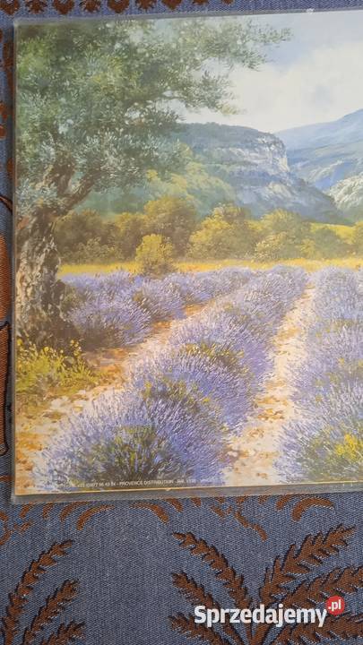 PROWANSALSKI PEJZAŻ Z LAWENDĄ obraz sprzedam