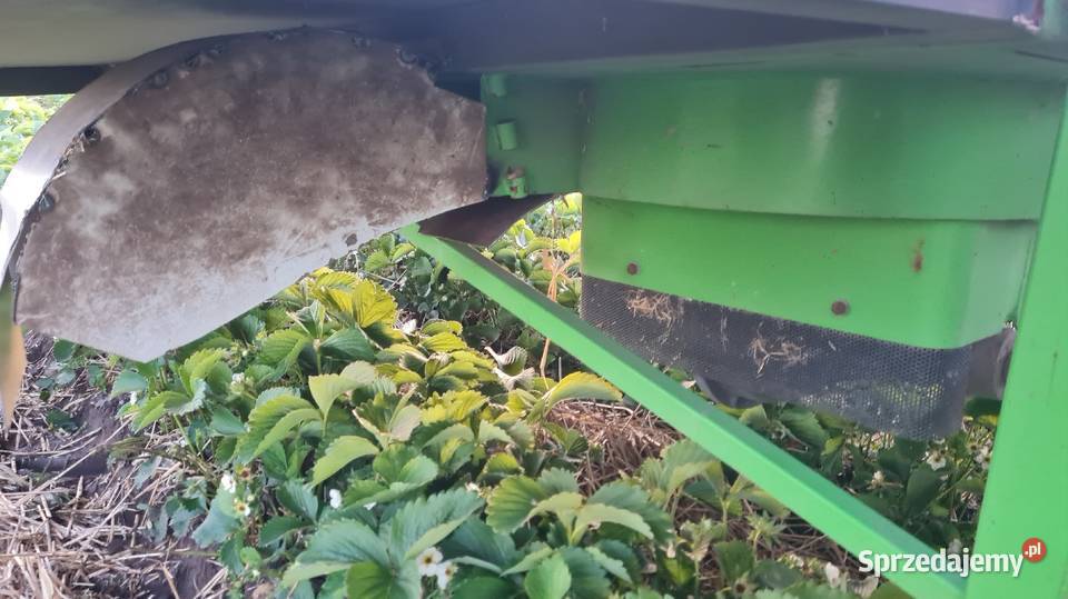 Ścielarka słomy do truskawek nieuszkodzony sprzedam