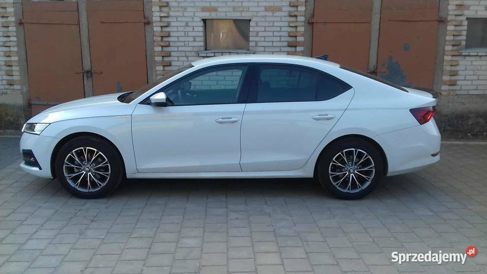 Skoda Octavia 4 20tdi Salon 1 właściciel Nówka Szepietowo