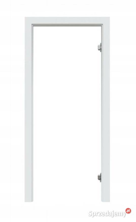 Drzwi bezprzylgowe Loretto DEFENDOOR szkło wielkopolskie Poznań