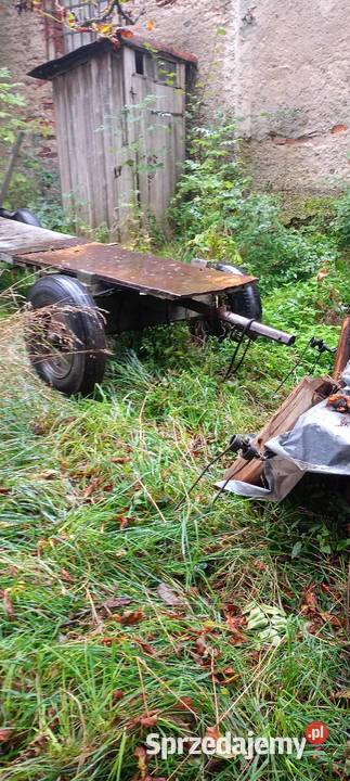 Wozy konne i przyczepka Jelenia Góra