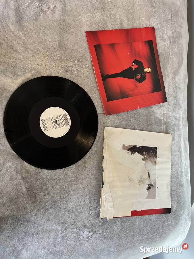 Płyta winylowa płyty winylowe Sandra HIT płyta winylowa Jasło sprzedam