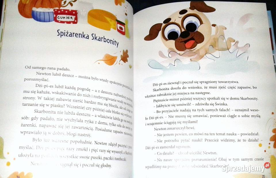 Gang Bystrzaków Paulina Płatkowska Chełm sprzedam