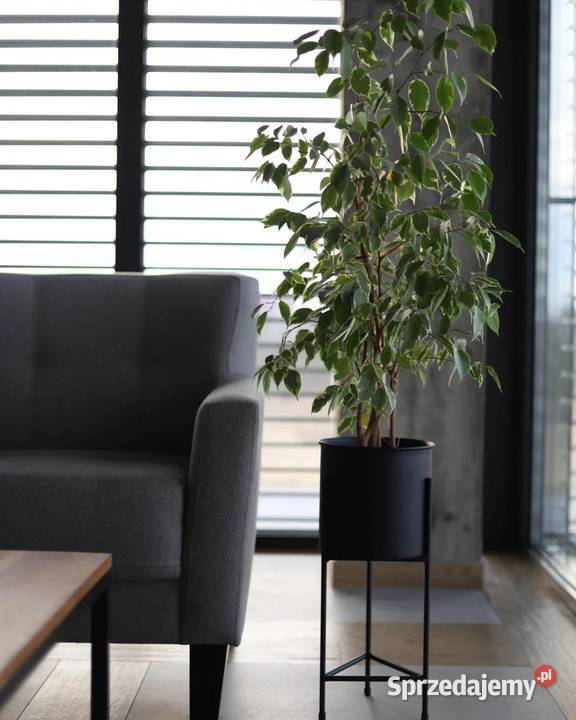 Kwietnik Metalowy Stojak na kwiaty z donicą 70 Sobienie-Jeziory