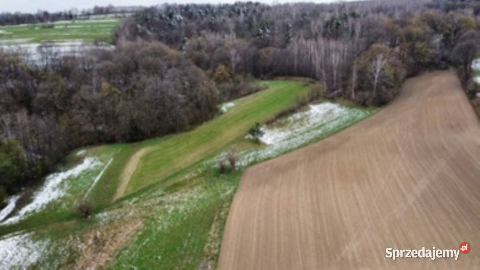 Sprzedam udział w gospodarstwie rolnym Gnojnik