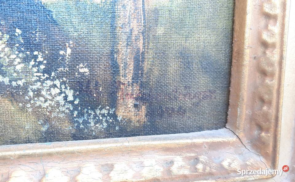 35 Pejzaż górski obraz olejny piękna rama Dekoracje i ozdoby Tczew