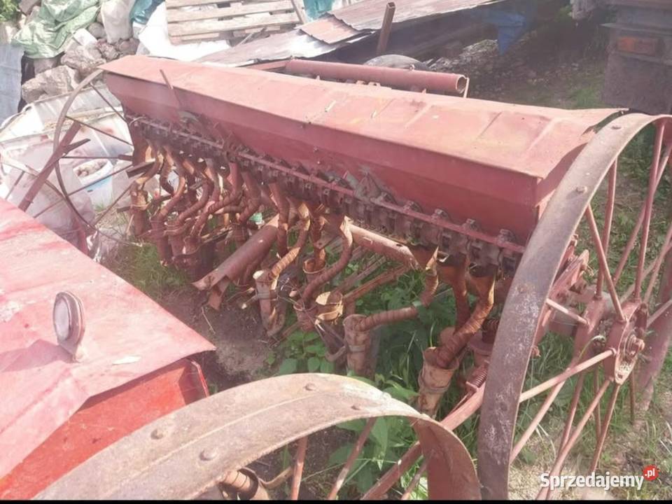 Siewniki konne 22 lejki x2 lubelskie Krzywda sprzedam