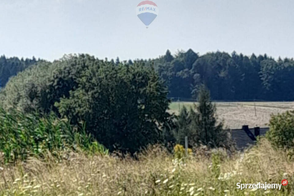 DZIAŁKA WIDOKOWA Z WZ FALKOWA GMINA CIĘŻKOWICE budowlana sprzedam