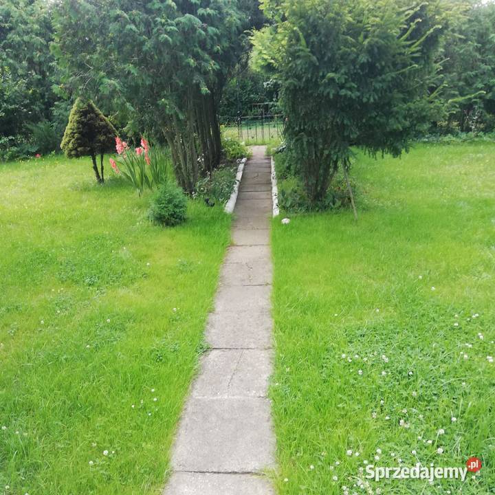 Działka ROD w Łowiczu 0zł/m2