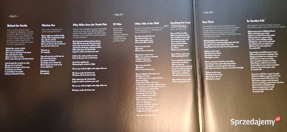 Steve Hackett Wolflight 2LPCD Kultura i Rozrywka Kania Polska