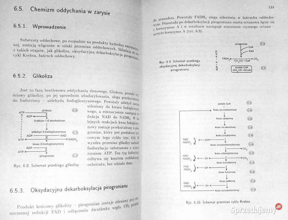 Zarys fizjologii roślin Wykłady i ćwiczenia Rok wydania 2001 lubelskie Chełm