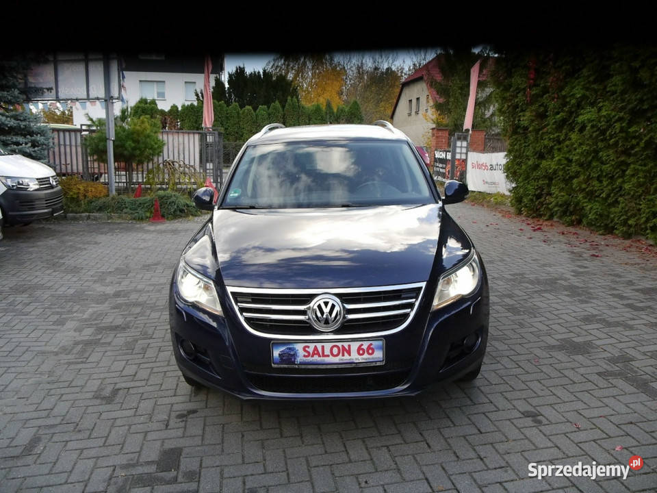 Volkswagen Tiguan 14b Xenon Navi Kamera Stan b Tiguan Częstochowa