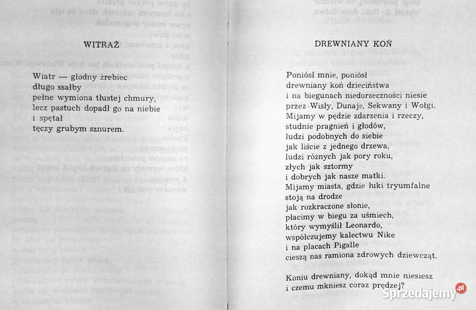 Trzy struny Igor Sikirycki Chełm