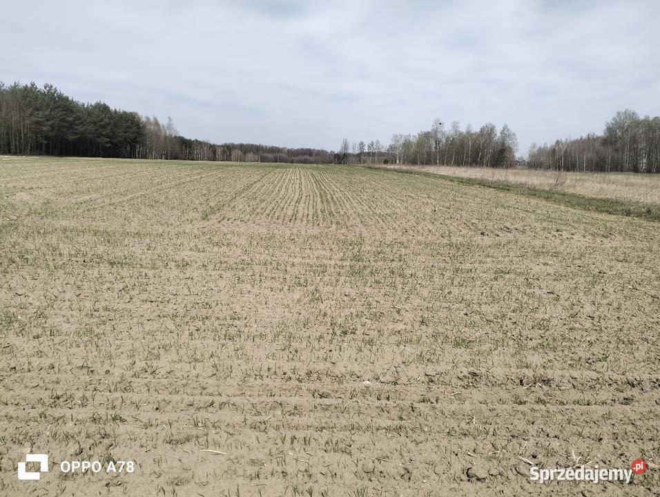 Sprzedam siewnik zbożowy talerzowy 3m agro masz