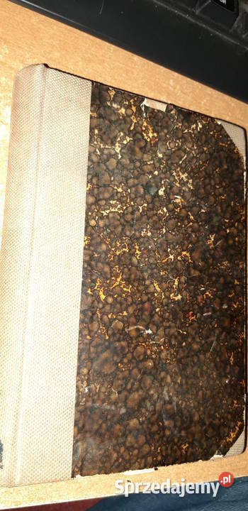 SASKIE OSTATKIT12 KRASZEWSKI Wwa 1899 oprawa Iwno