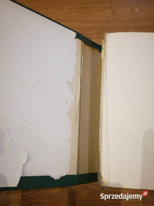 Słownik ortograficzny języka polskiego PWN 1981 Rok wydania 1981 Skokowa