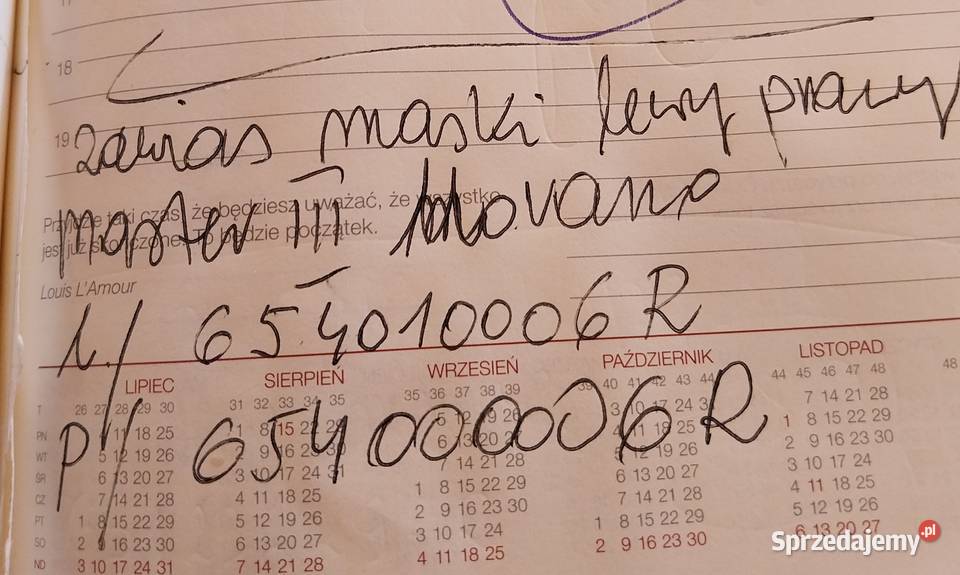 Renault Master III Movano zawias zawiasy maski Bobowo sprzedam