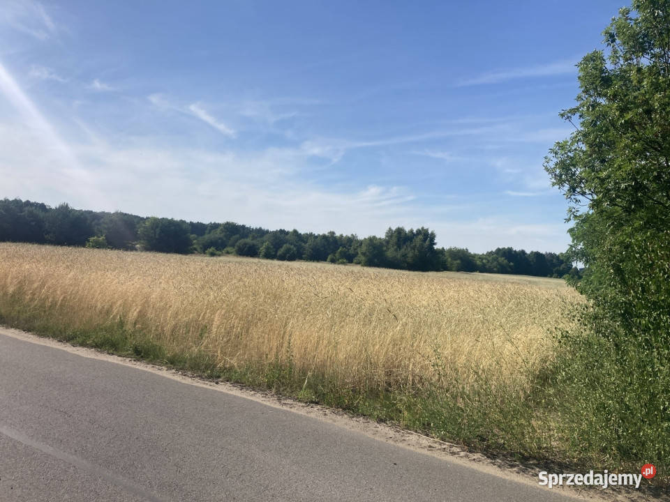 Działka 611 m Ruda k Radzymina MPZP media 300zł/m2 Sprzedaż