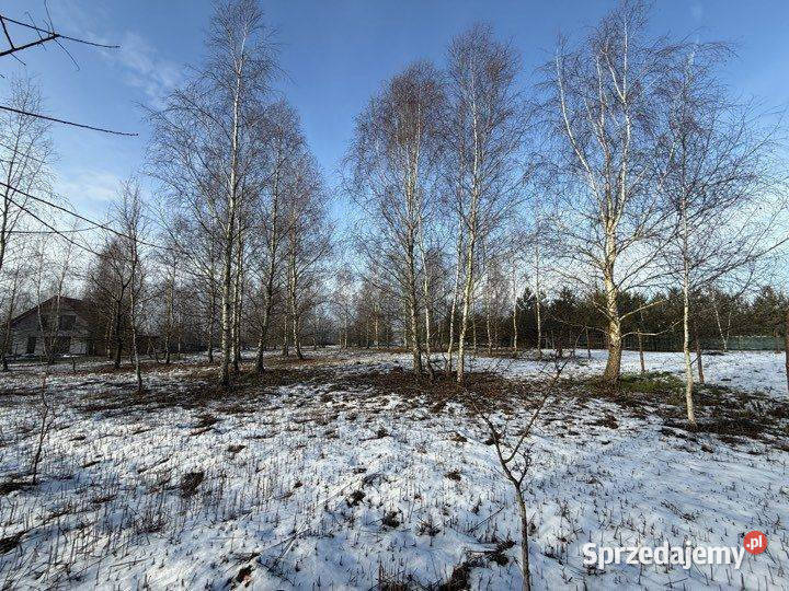 Duża działka na leśnym osiedlu w Miłoszycach Miłoszyce