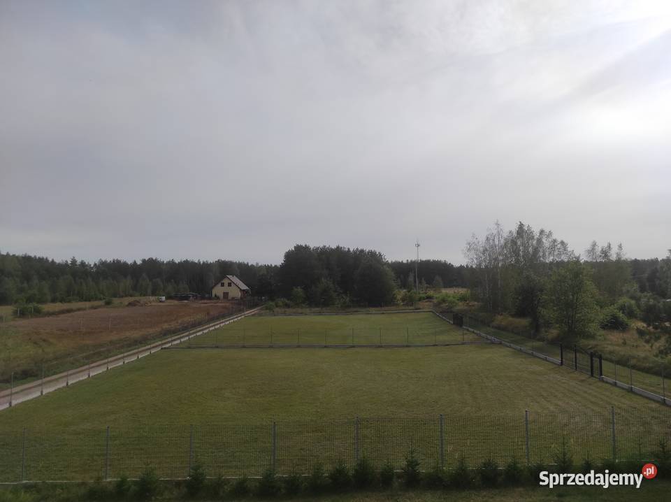 Dwie działki budowlane ogrodzone Płaska 16326 Zambrów