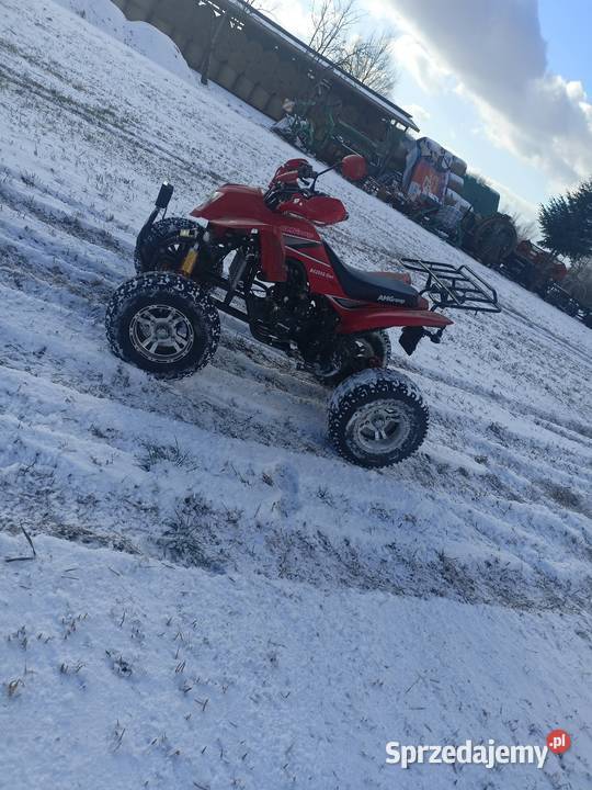 AmGrup 250 Bochnia