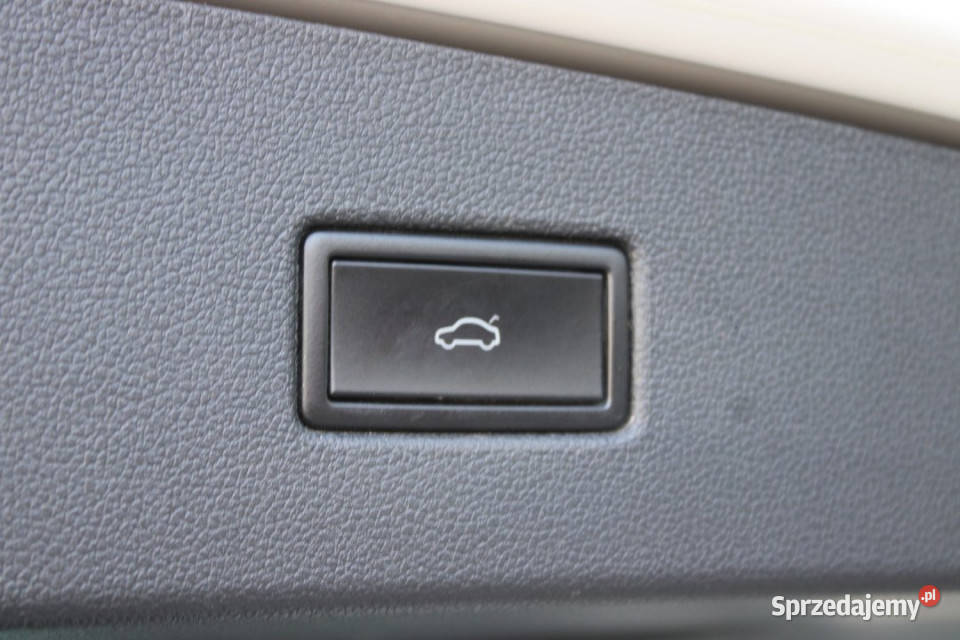 Volkswagen Tiguan 2020r Fv23 Hak Grzane Bielsko-Biała