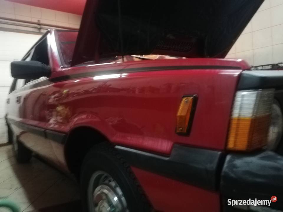 Borewicz export MISTRAL