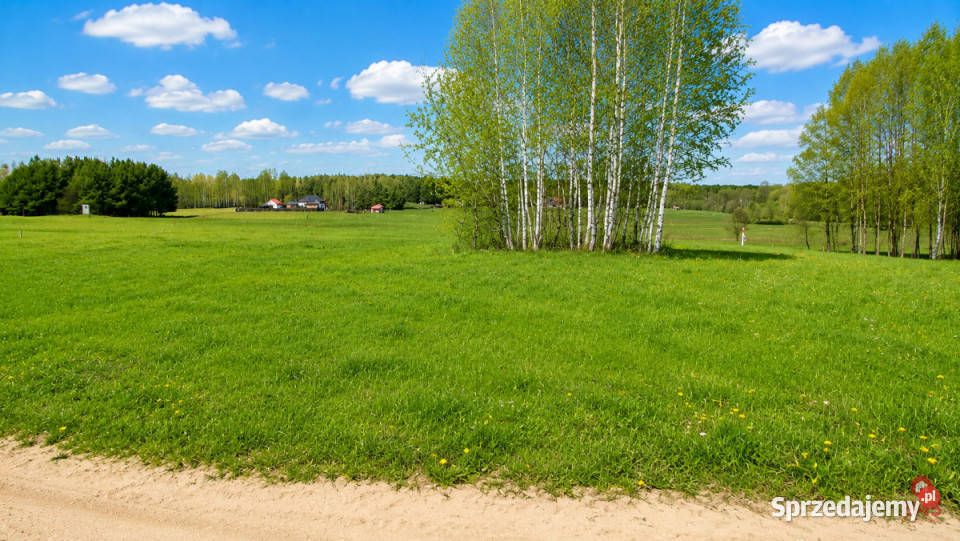 Działka 1000m2 Tołcze 1000m2 Sprzedaż