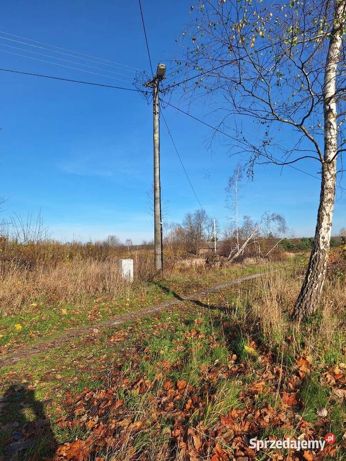Budzyń Przytyki sprzedam działkę lubelskie