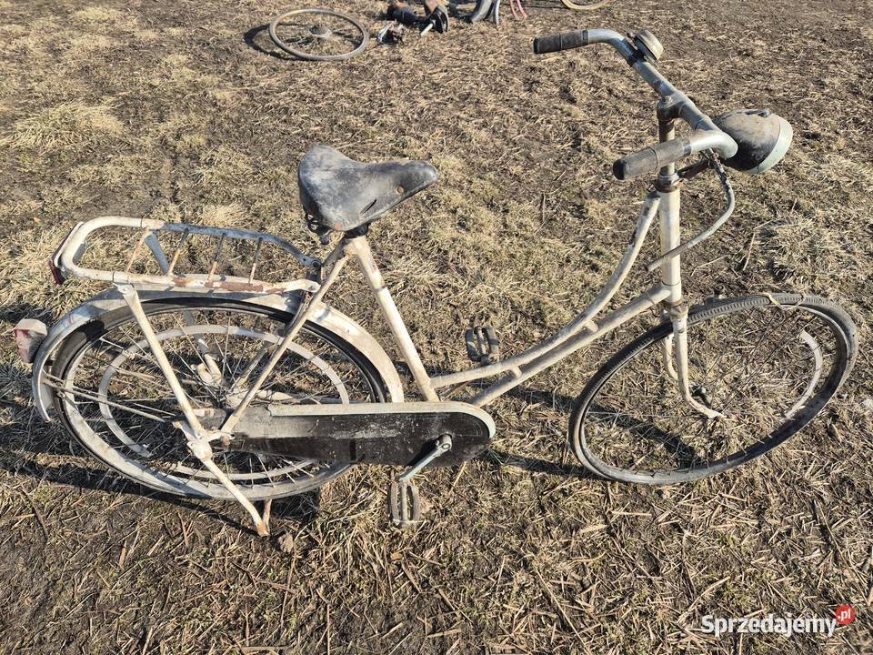 Rower holenderski bovag nazorg Jaworzno