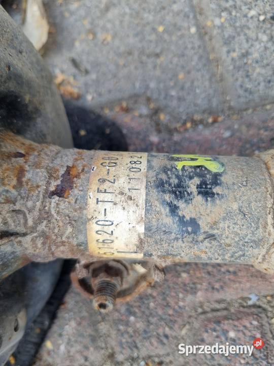 MCPERSON AMORTYZATOR SPRĘŻYNA LEWY PRZÓD HONDA wielkopolskie