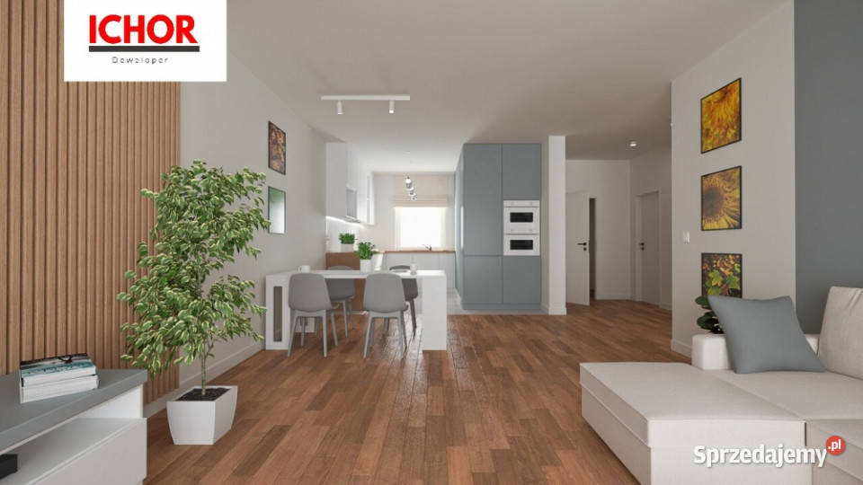 Dom Starcza Brzozowa 30 ICHOR Deweloper śląskie sprzedam