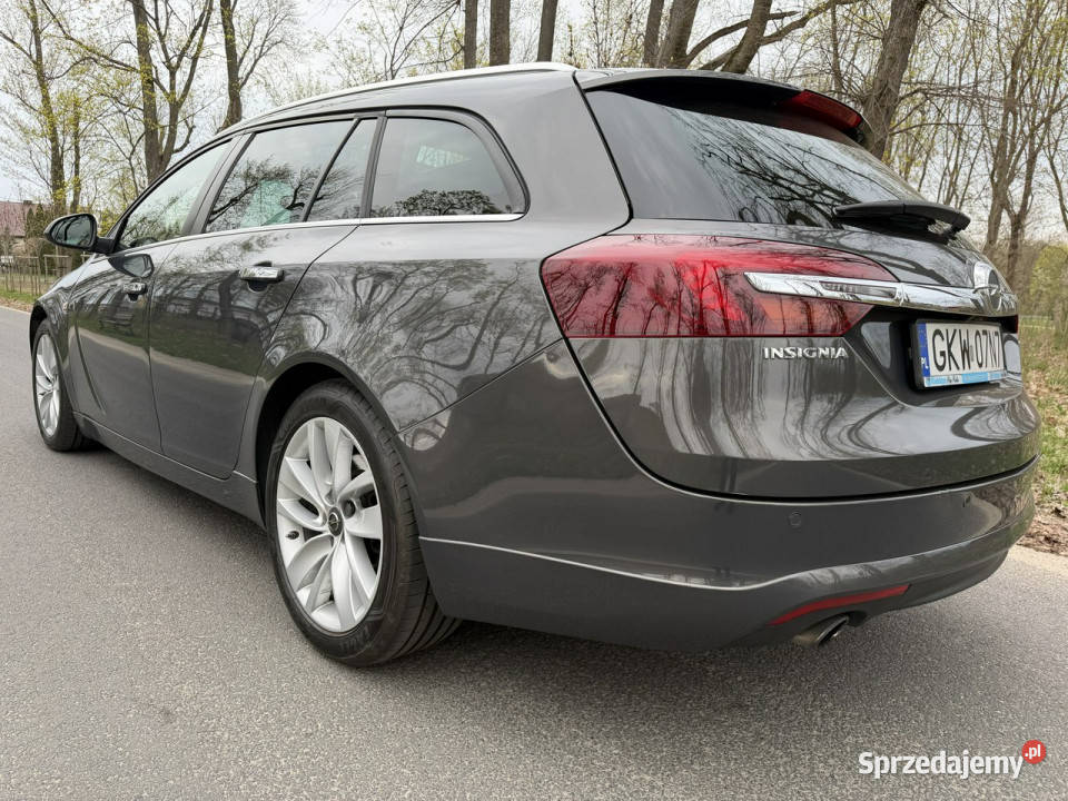Opel Insignia OPC Indyvidual 20T 250 Automat kujawsko-pomorskie Józefkowo