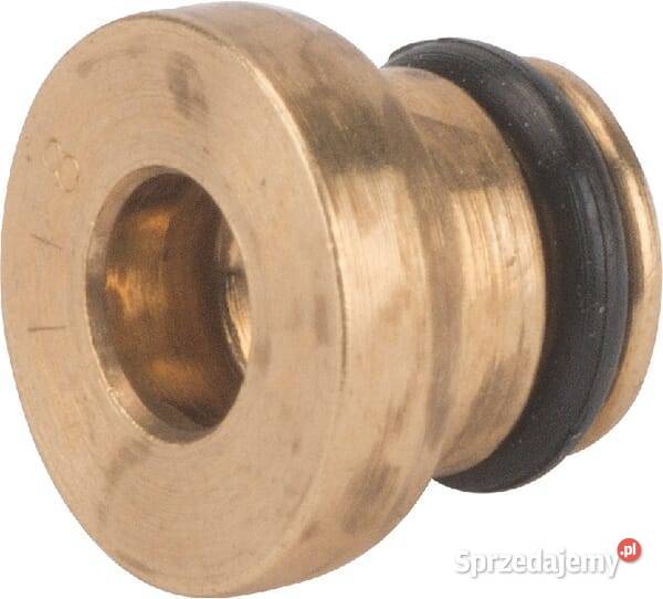 Dysza główna 792296 małopolskie