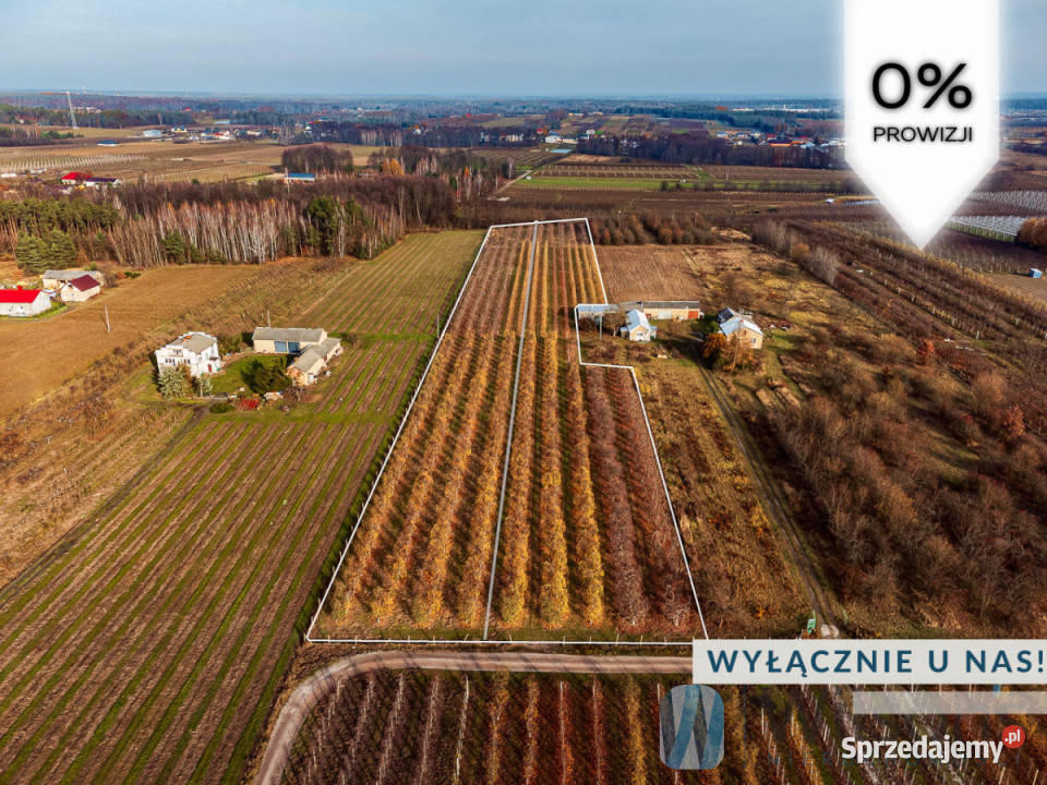 Działka 21802m2 Michrów