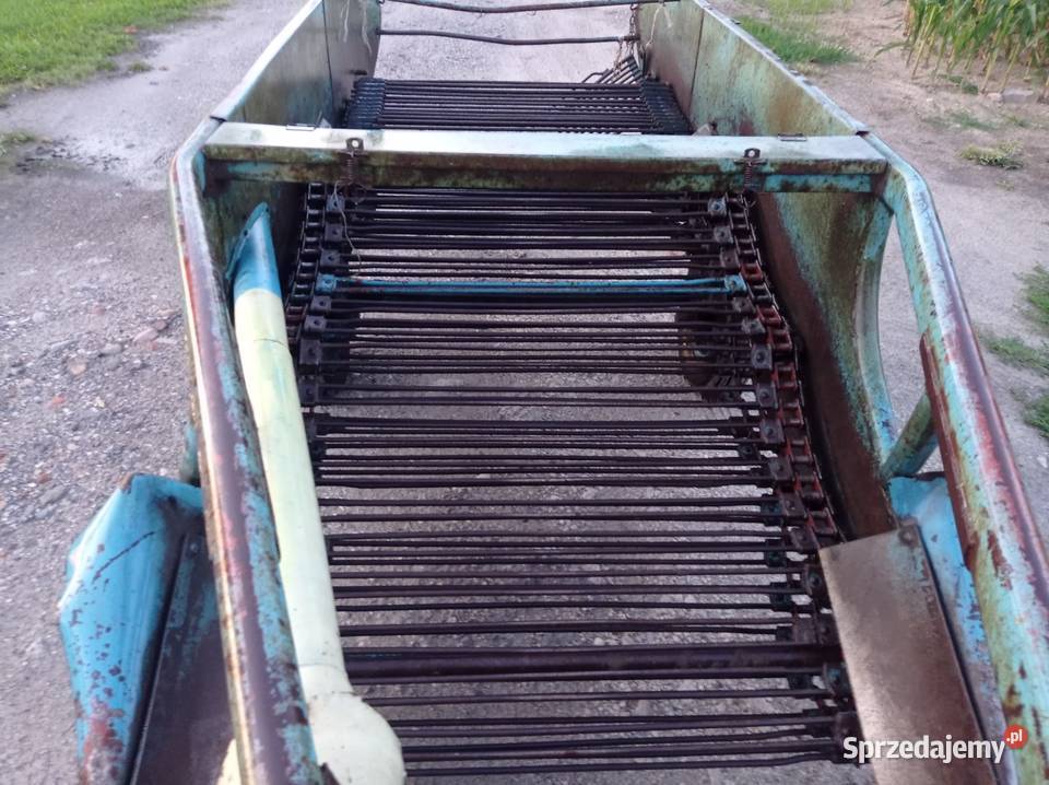 Kopaczka do ziemniaków elewatorowe Krążno