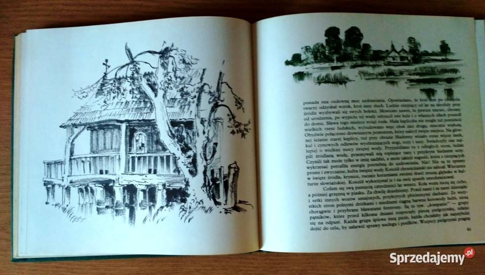 Piórkiem i węglem Piękno utracone Rzeszów sprzedam