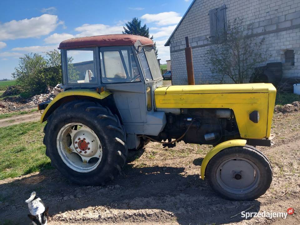 Ursus Koneck sprzedam