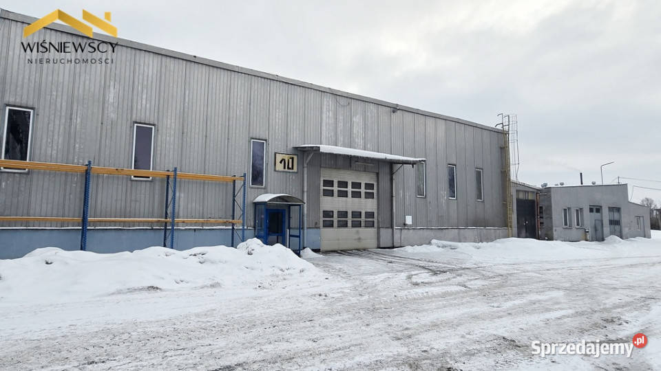 Hala Berlin 1274 m Elbląg S7
