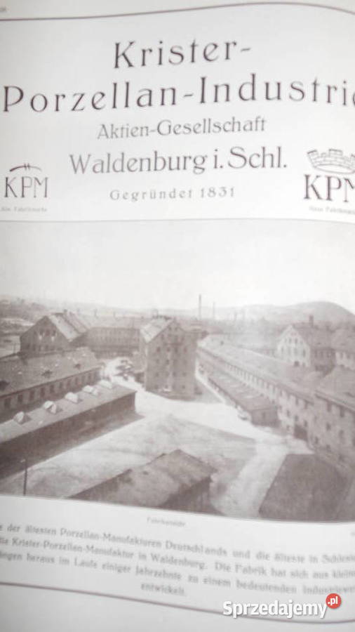 Das Buch der Stadt Waldenburg in Schlesien hobby, kolekcjonerstwo Wałbrzych